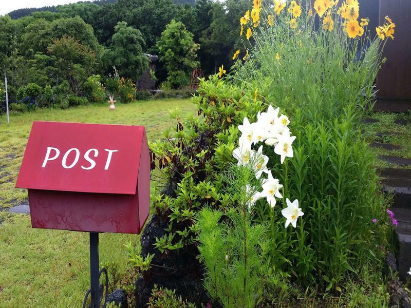 Gotjawal Geomunoreum Pension Čedžu Exteriér fotografie